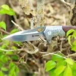 TOSAHWI HANDMADE Sandalwood Handle Eagle Eye Folding Knife - Image 2