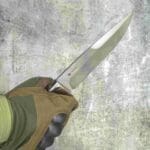 TOSAHWI Handmade M390 Steel Fixed Blade Knife with Desert Handle and Tooth Stone Accent - Image 5