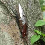 TOSAHWI HANDMADE Sandalwood Handle Eagle Eye Folding Knife - Image 7